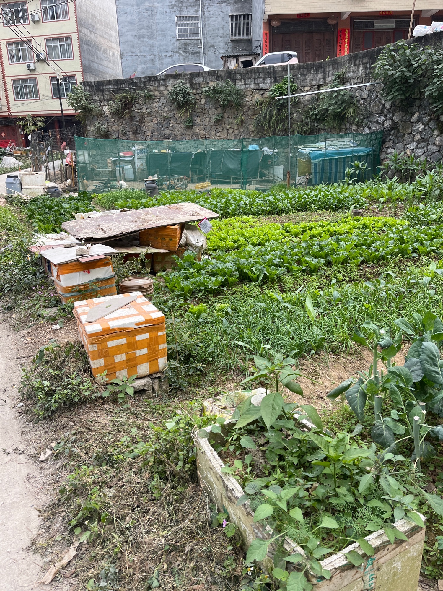 巴马滨水公园旅行图片 1