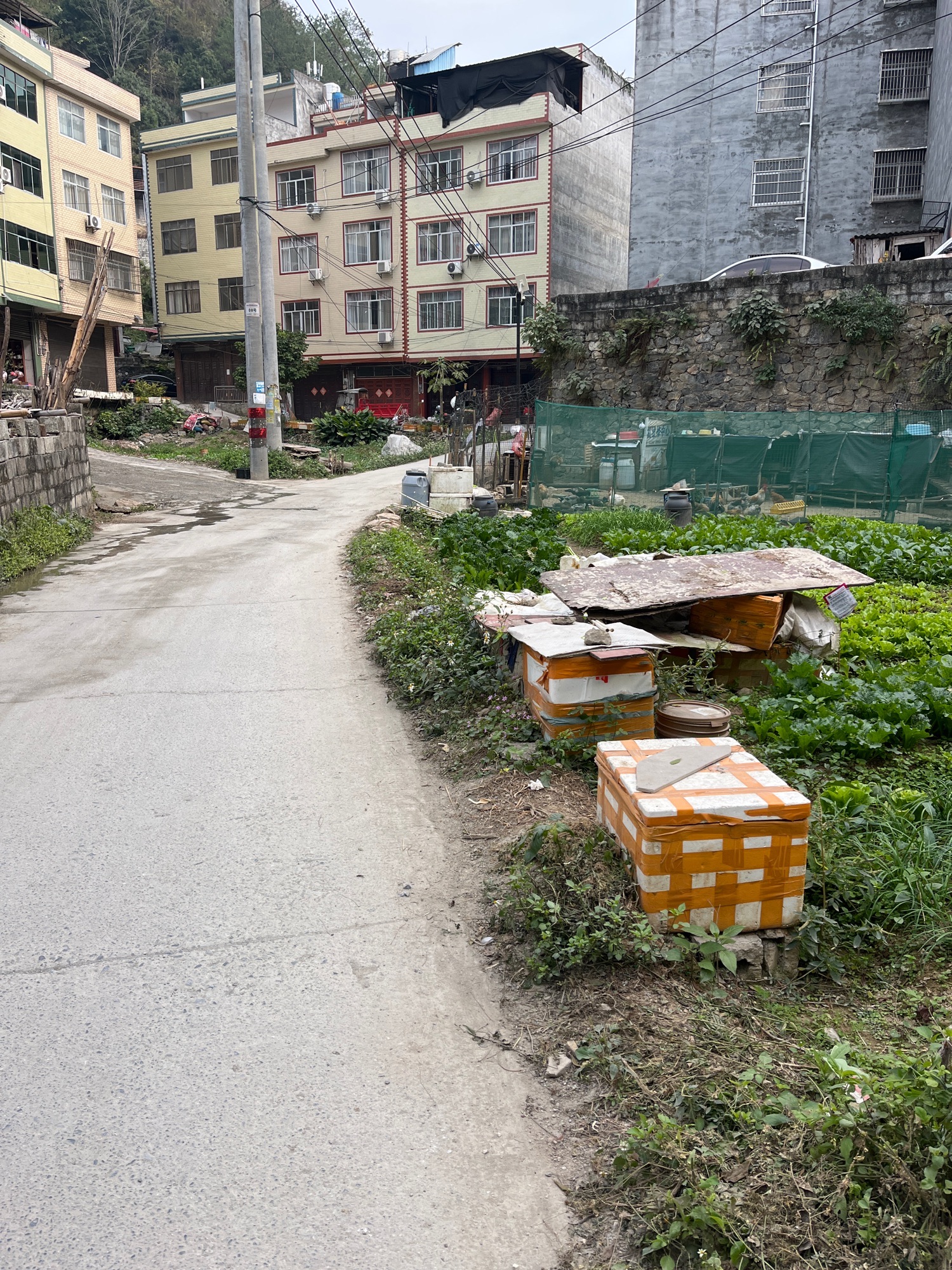 巴马滨水公园旅行图片 3