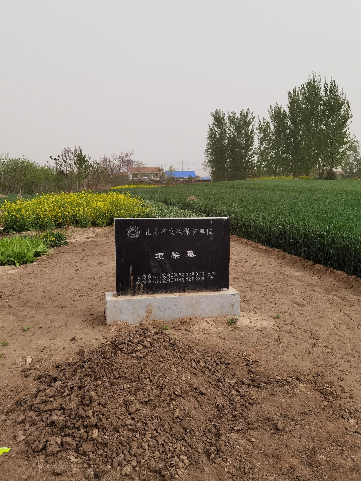 项梁墓旅行图片 2