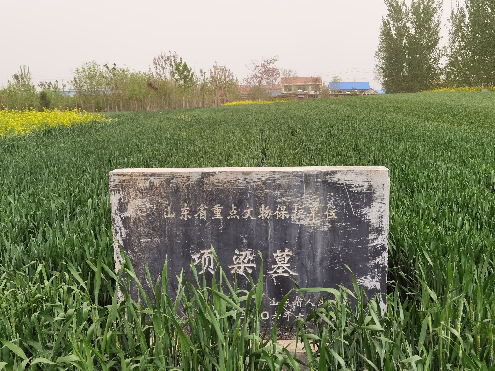 项梁墓旅行图片 1