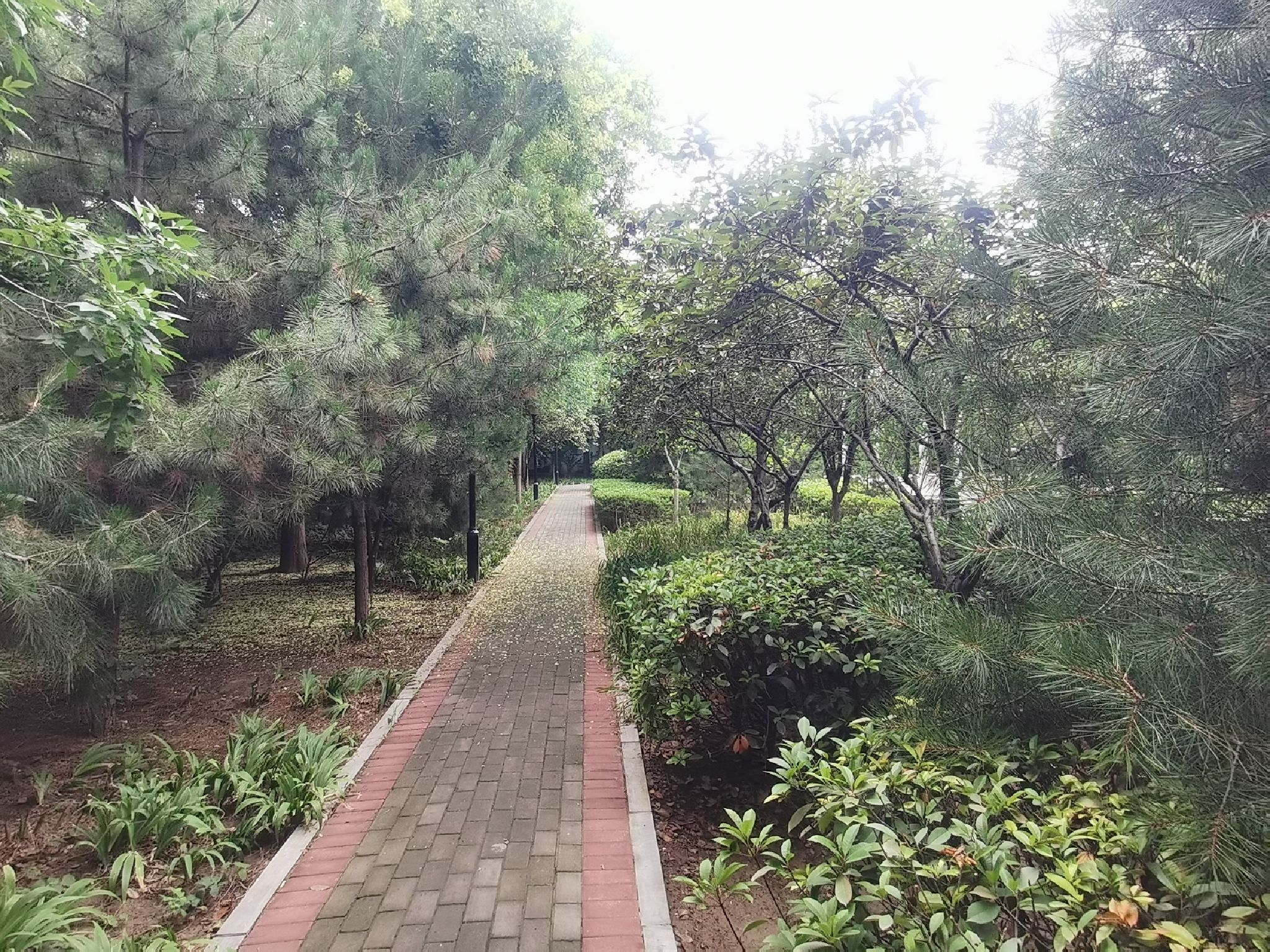 瑞竹园旅行图片 2