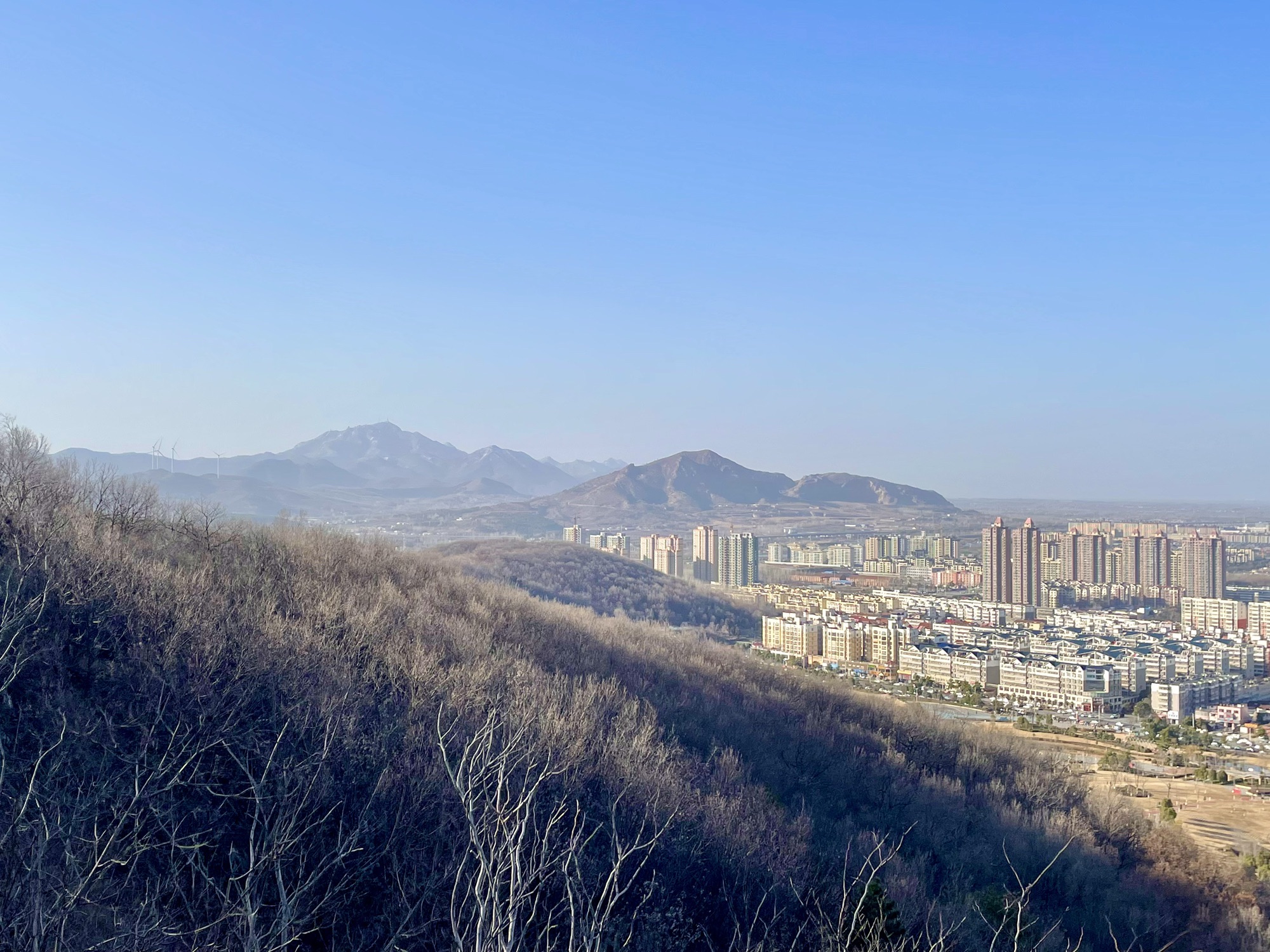 盘龙山公园旅行图片 3