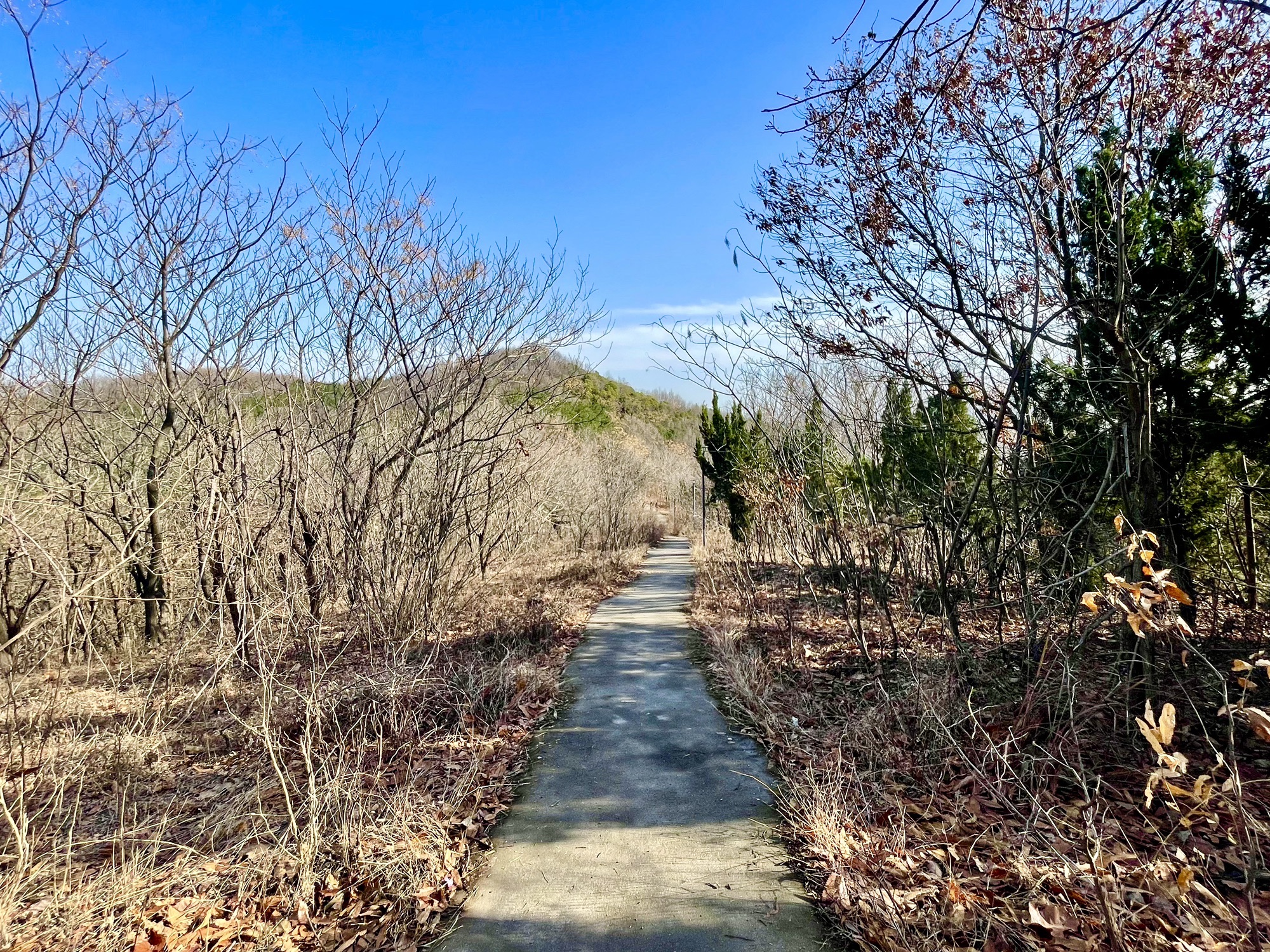 盘龙山公园旅行图片 2