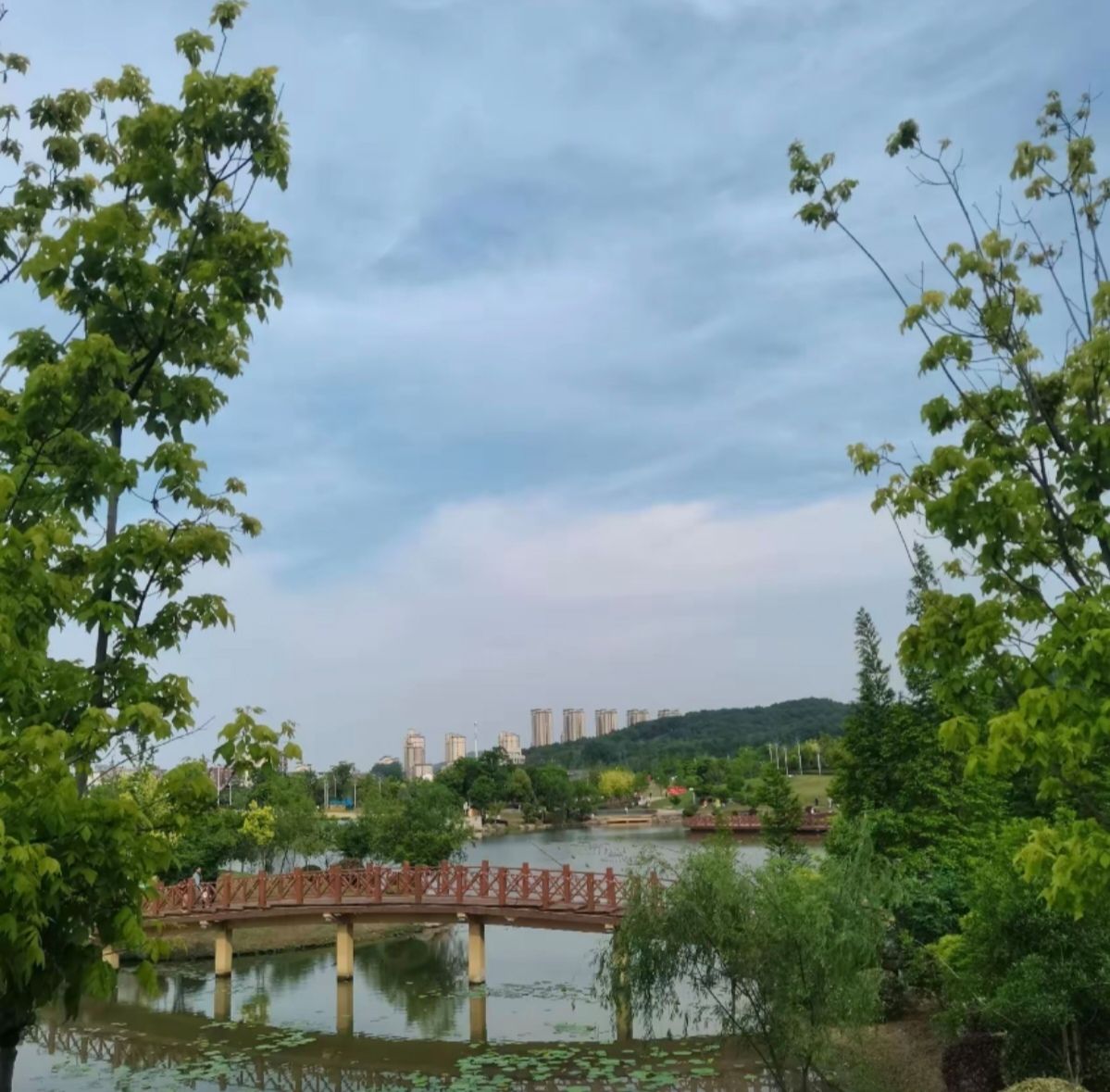 盘龙山公园旅行图片 1