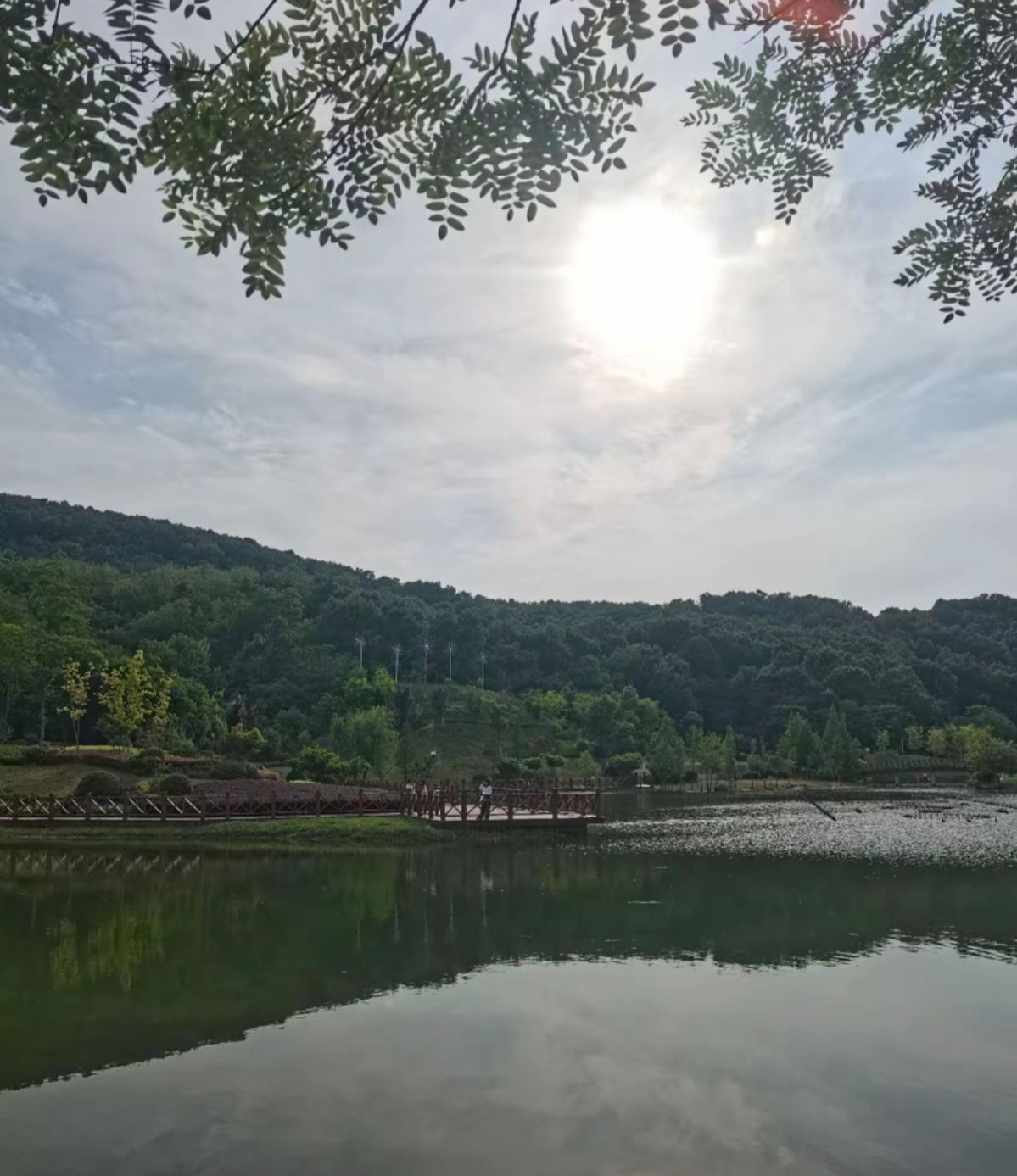 盘龙山公园旅行图片 3