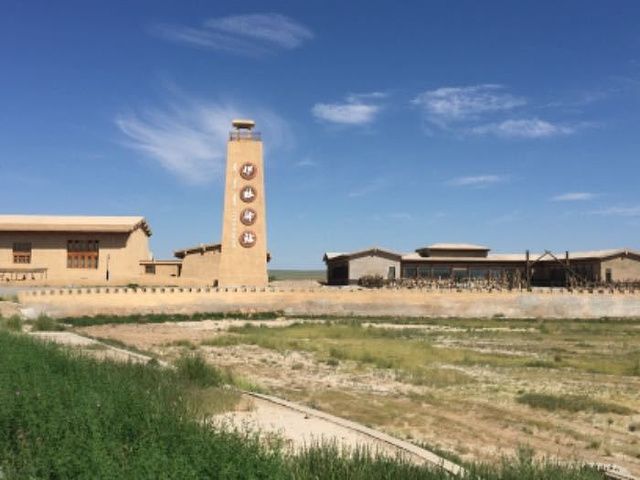 内蒙古二连浩特国家地质公园旅行图片 3
