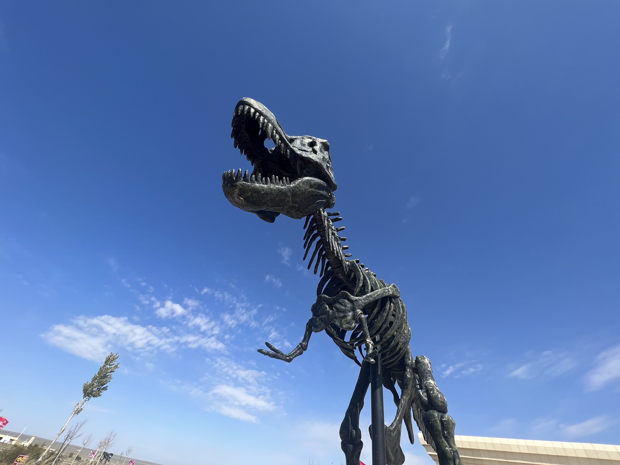 内蒙古二连浩特国家地质公园旅行图片 2