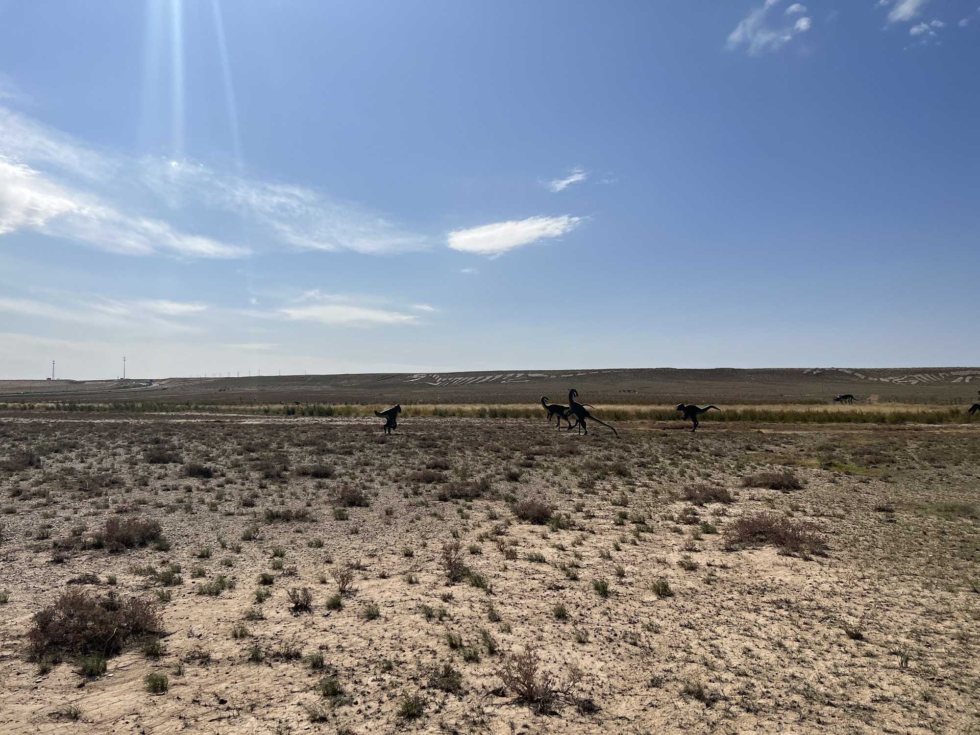 内蒙古二连浩特国家地质公园旅行图片 3