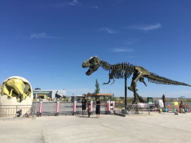 内蒙古二连浩特国家地质公园旅行图片 1