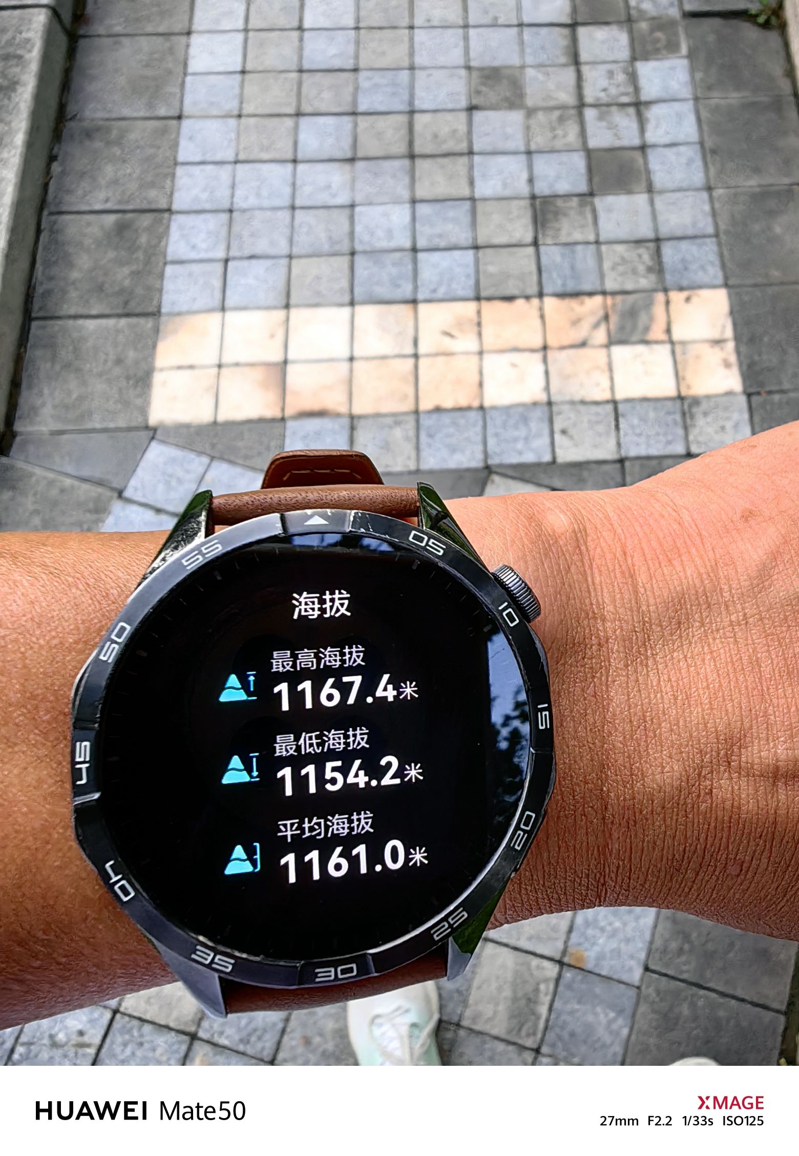 和谐公园旅行图片 1