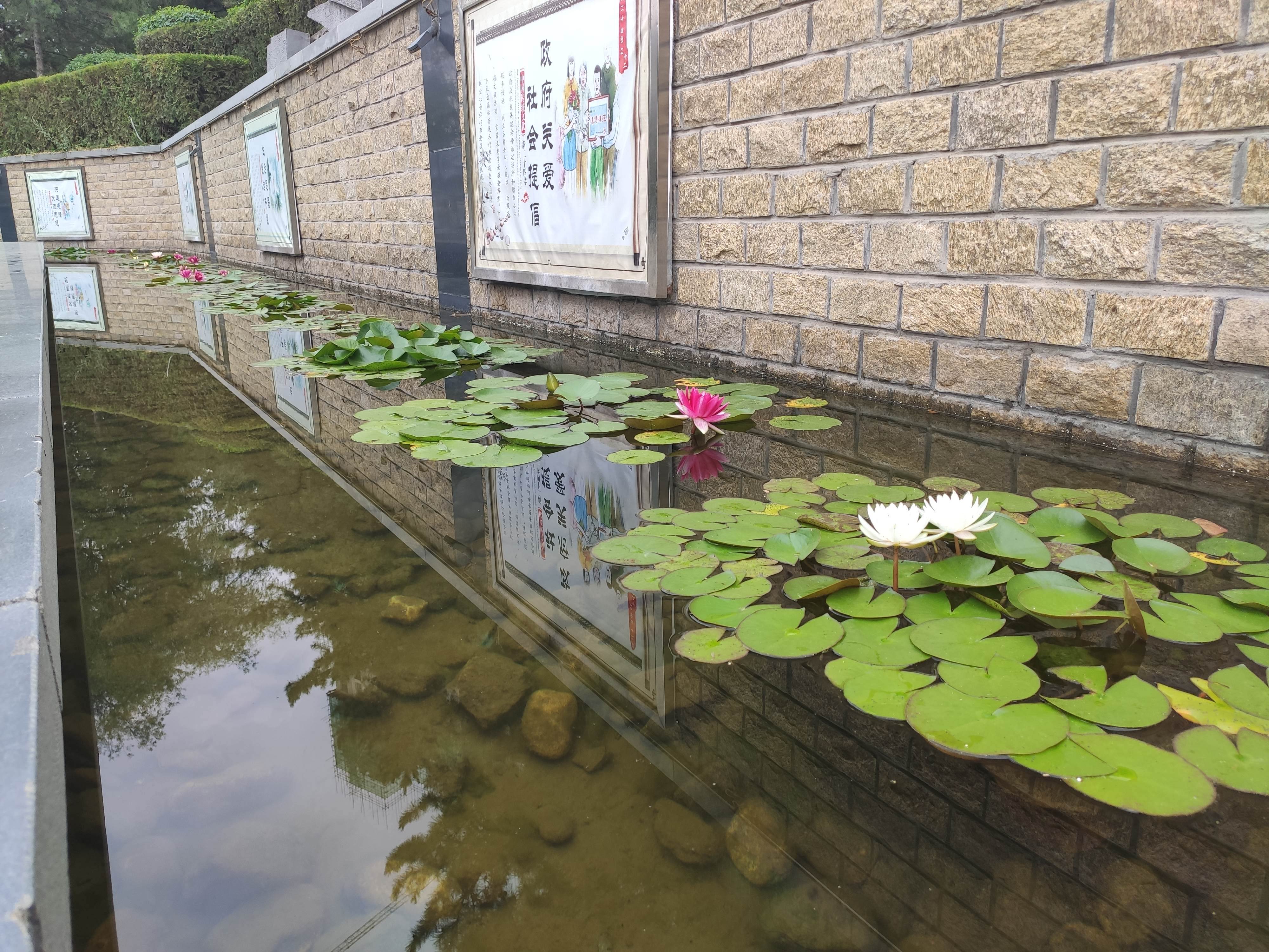 和谐公园旅行图片 3