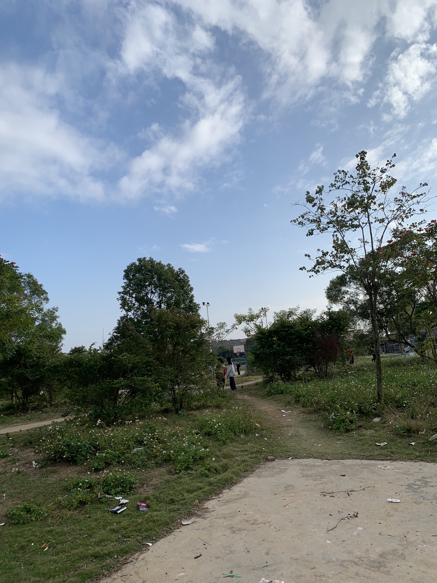 北池公园旅行图片 2