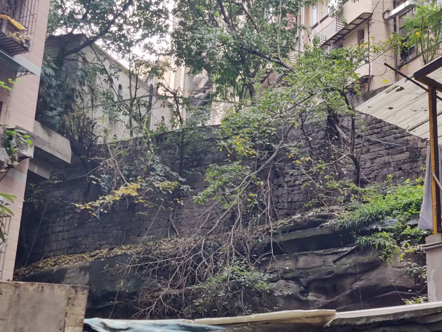 定远门古城墙遗址旅行图片 2