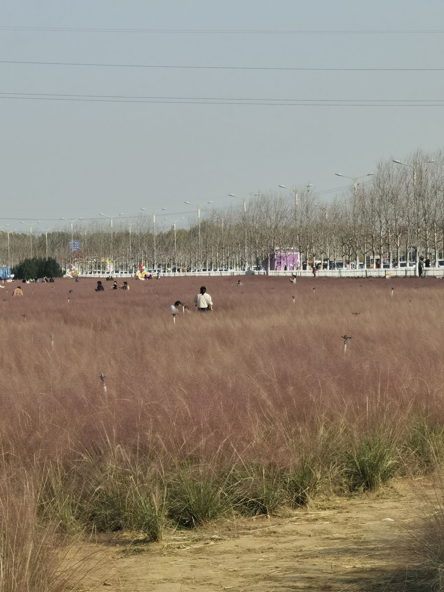 栈道凉亭旅行图片 3