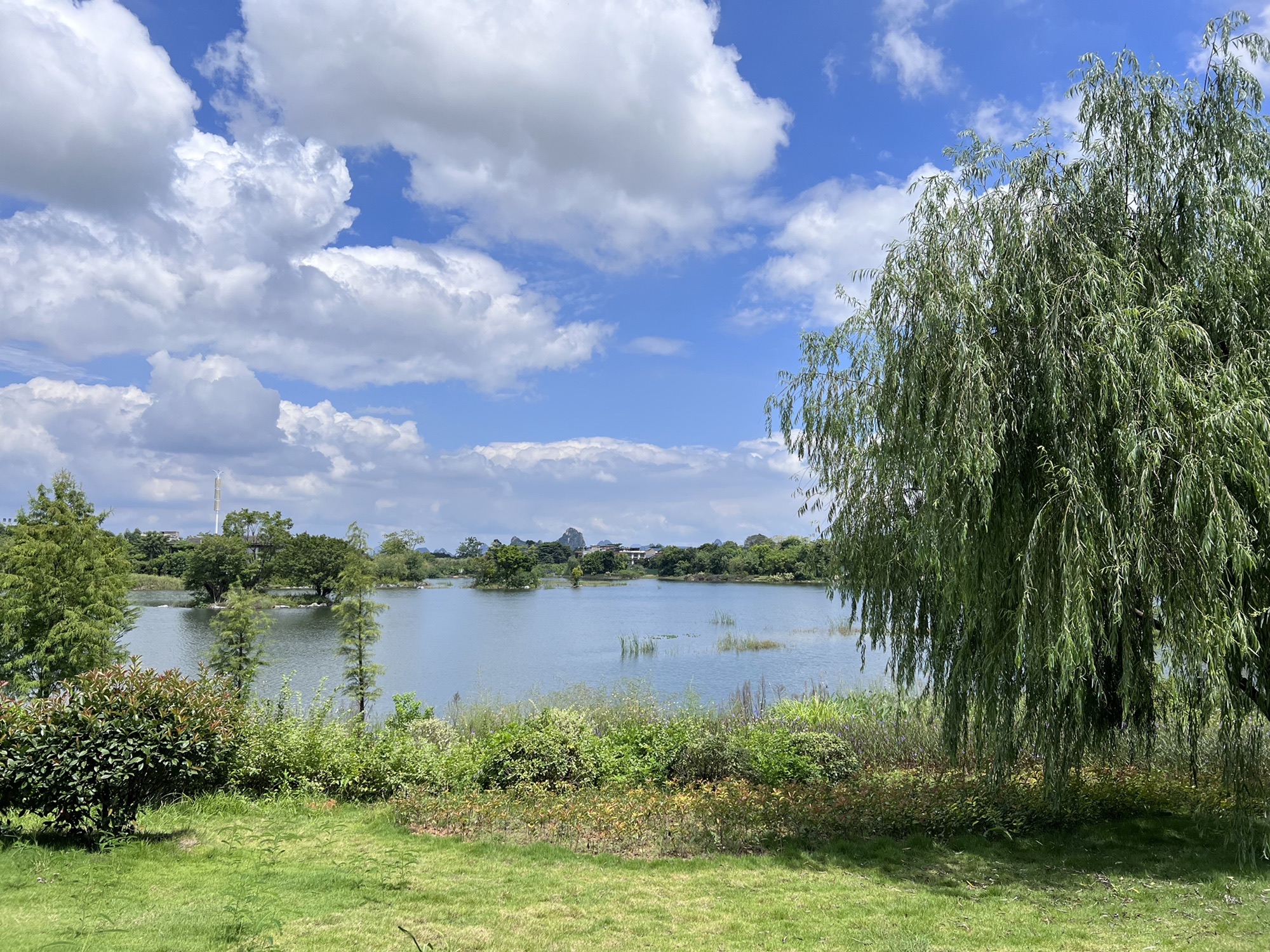 柳江区岜公塘公园旅行图片 3