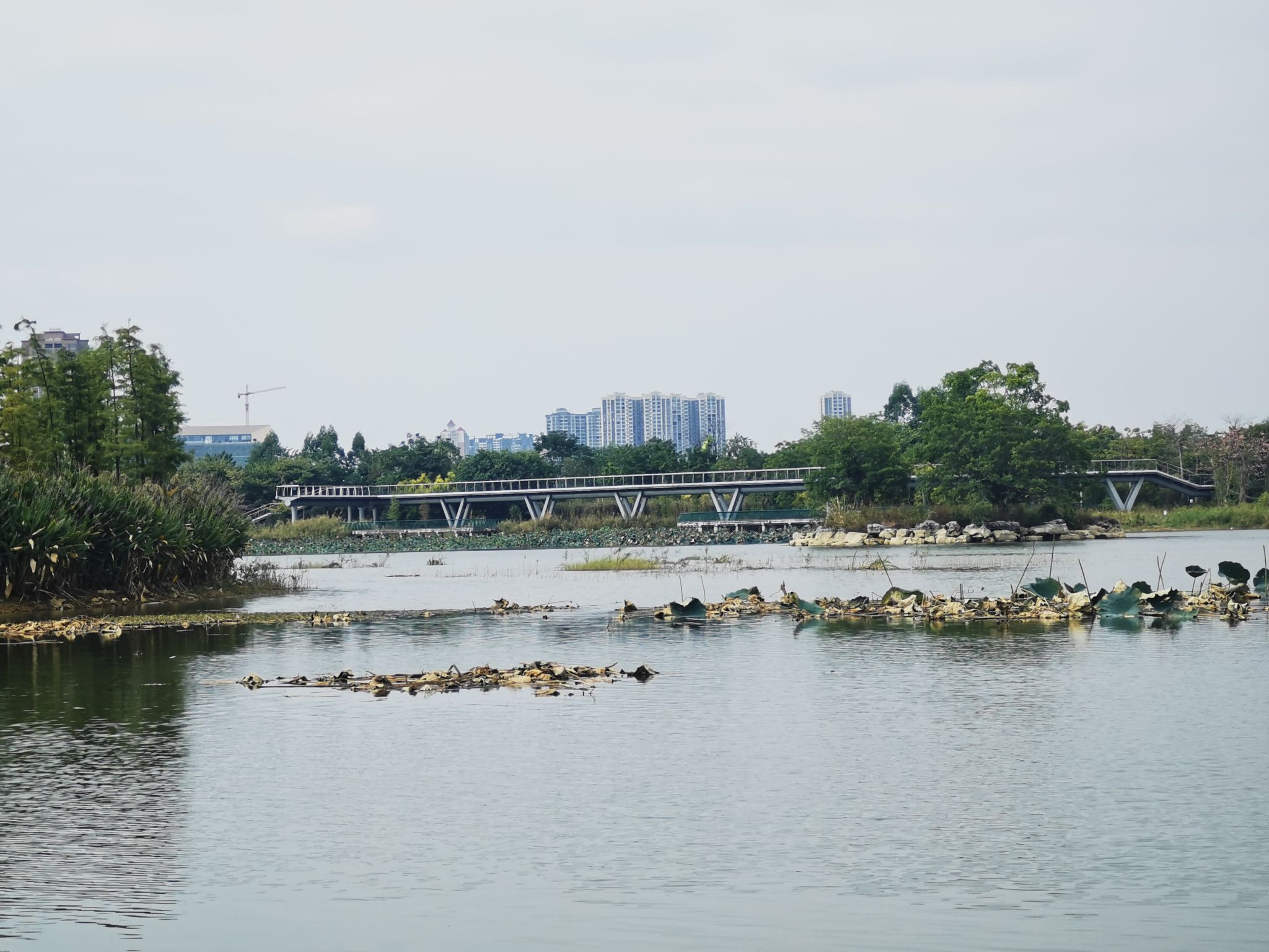 柳江区岜公塘公园旅行图片 3