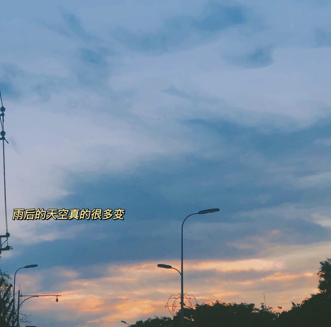 怡薰园旅行图片 1