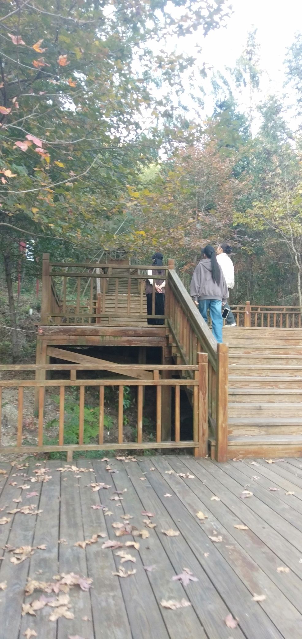 蓝山湘江源景区旅行图片 2