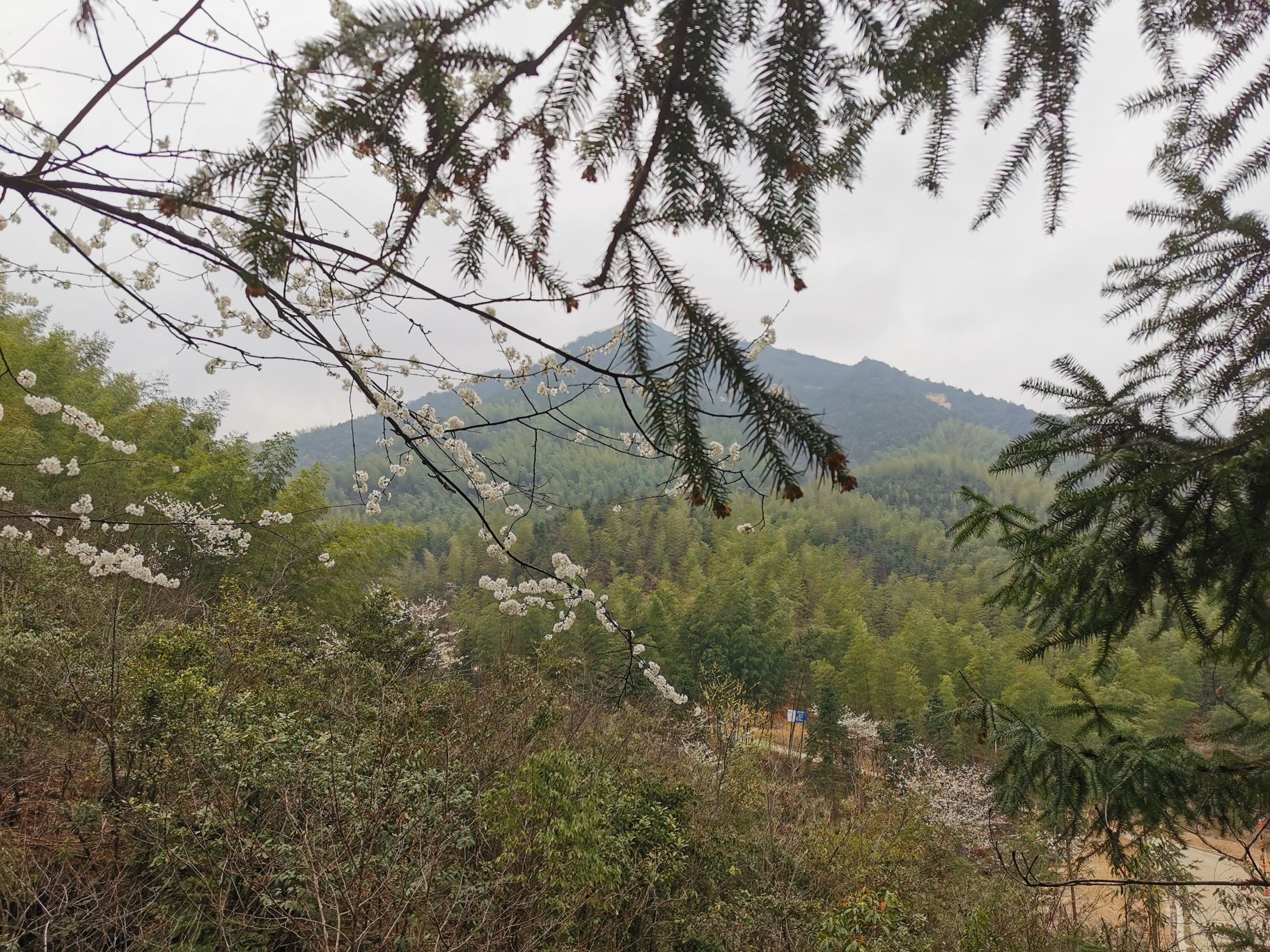 蓝山湘江源景区旅行图片 1