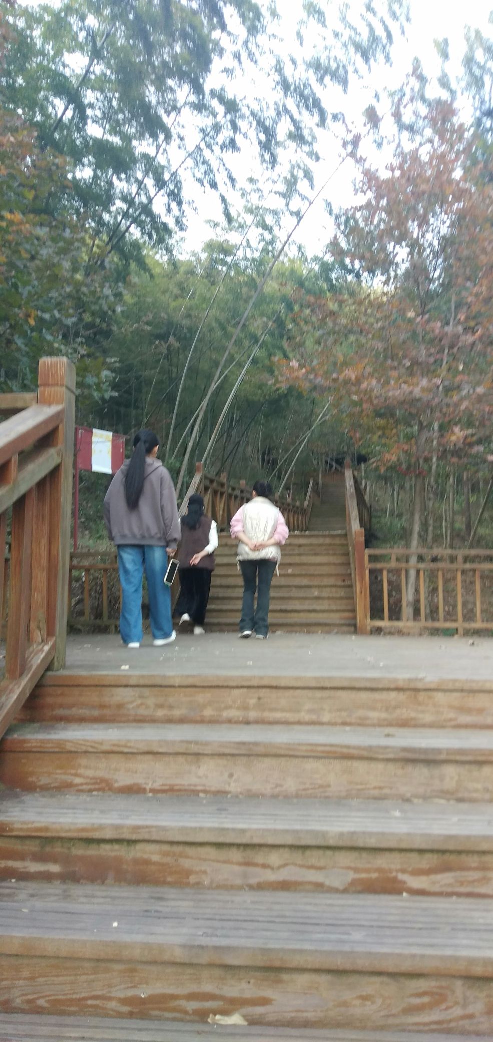 蓝山湘江源景区旅行图片 3