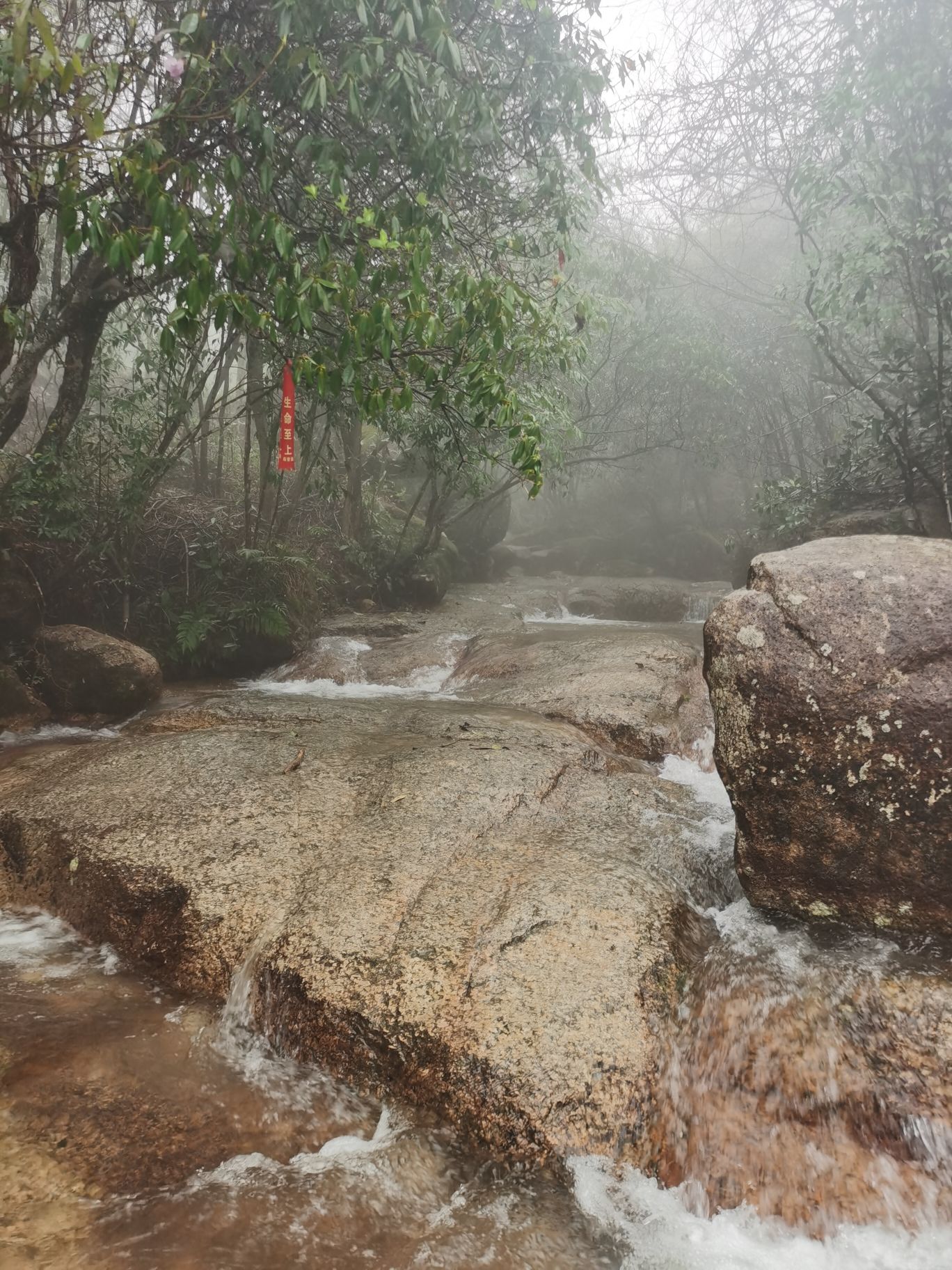 蓝山湘江源景区旅行图片 3