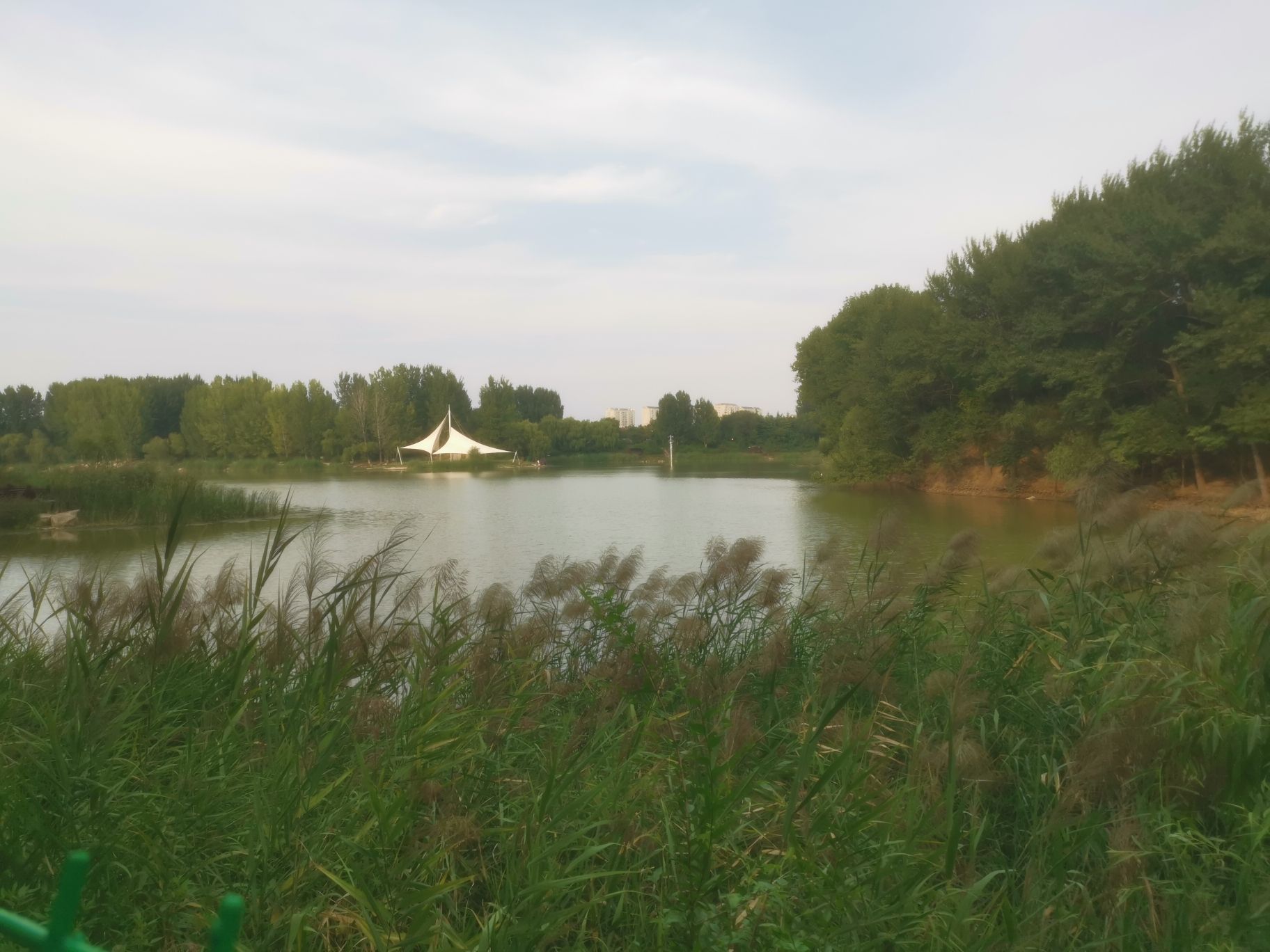 青州市尧王湖生态公园旅行图片 1