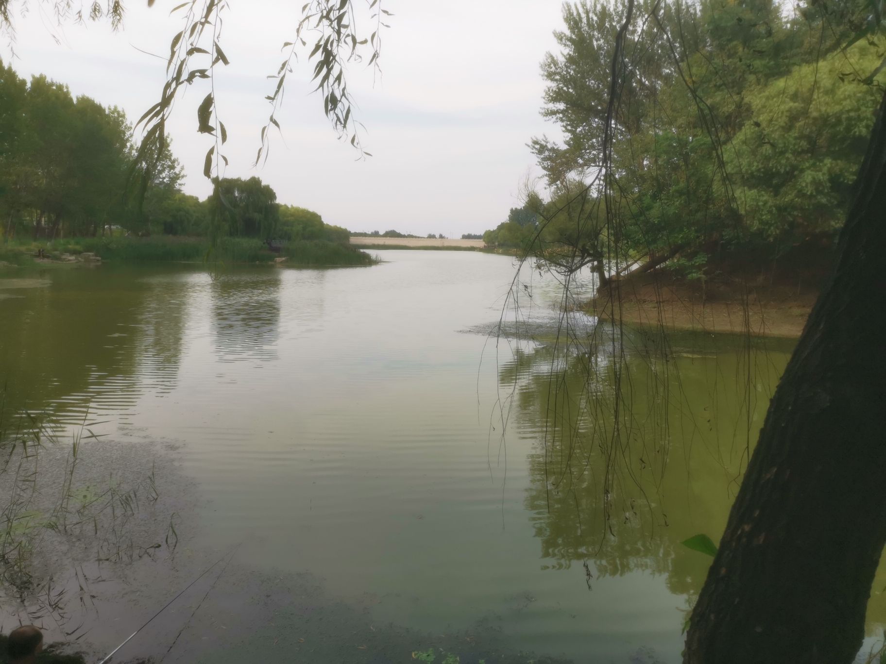 青州市尧王湖生态公园旅行图片 3