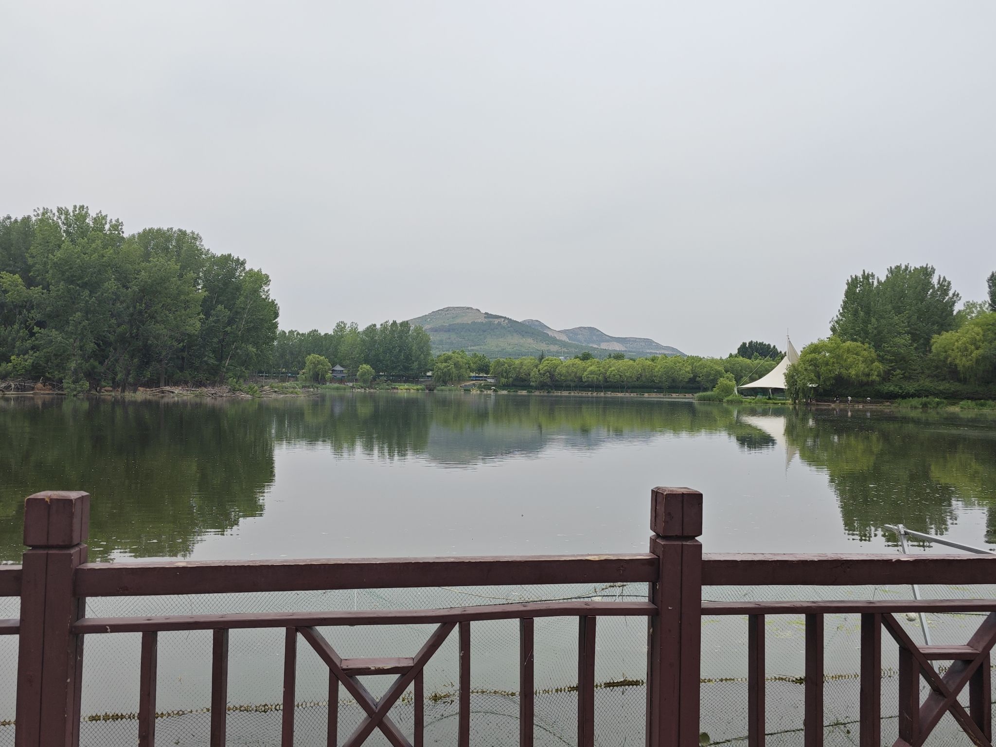 青州市尧王湖生态公园旅行图片 2