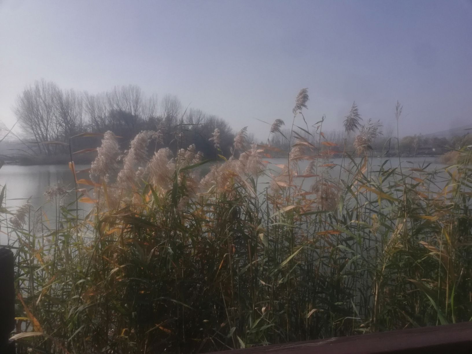 青州市尧王湖生态公园旅行图片 3