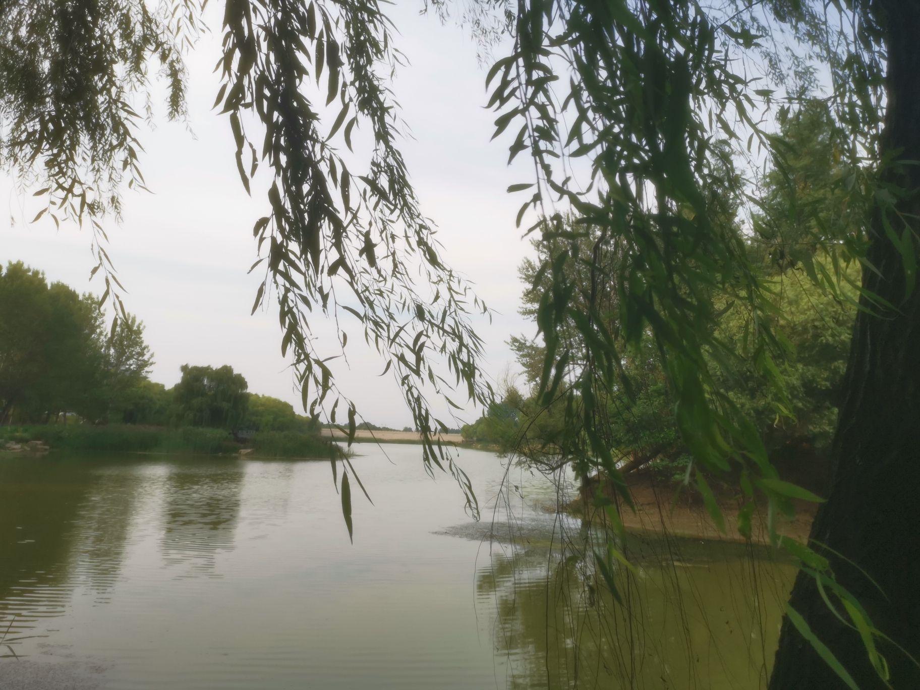 青州市尧王湖生态公园旅行图片 2
