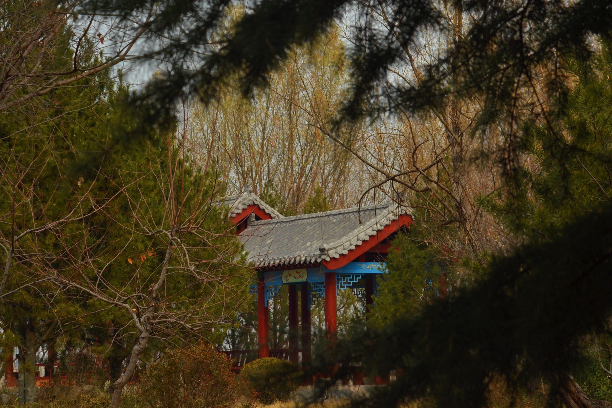 青州市尧王湖生态公园旅行图片 1