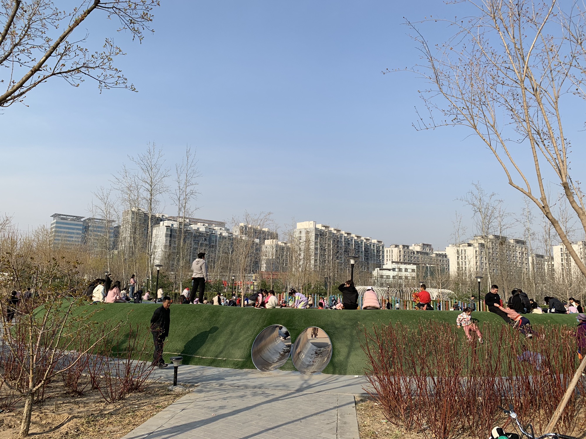 西小马公园旅行图片 2