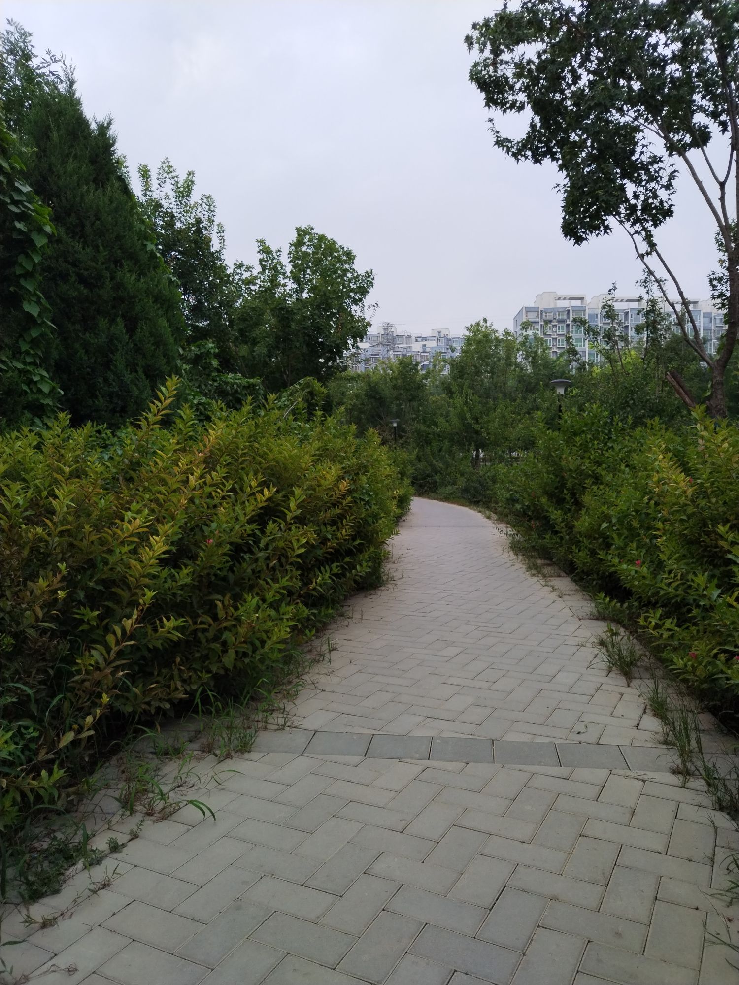 西小马公园旅行图片 3