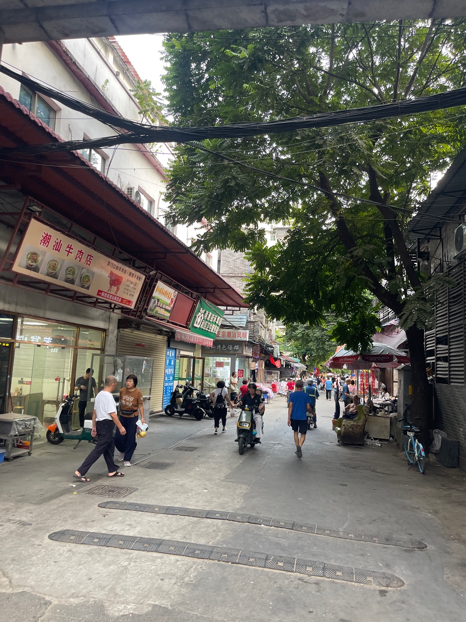 南岸牌坊旅行图片 2