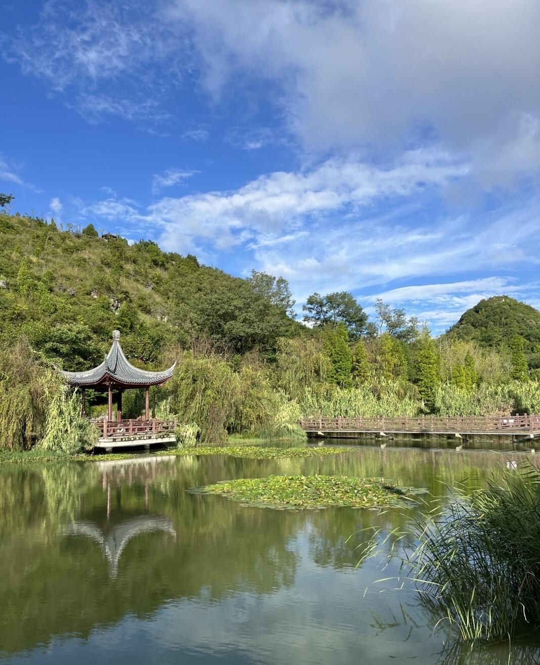 安顺娄湖生态公园旅行图片 2