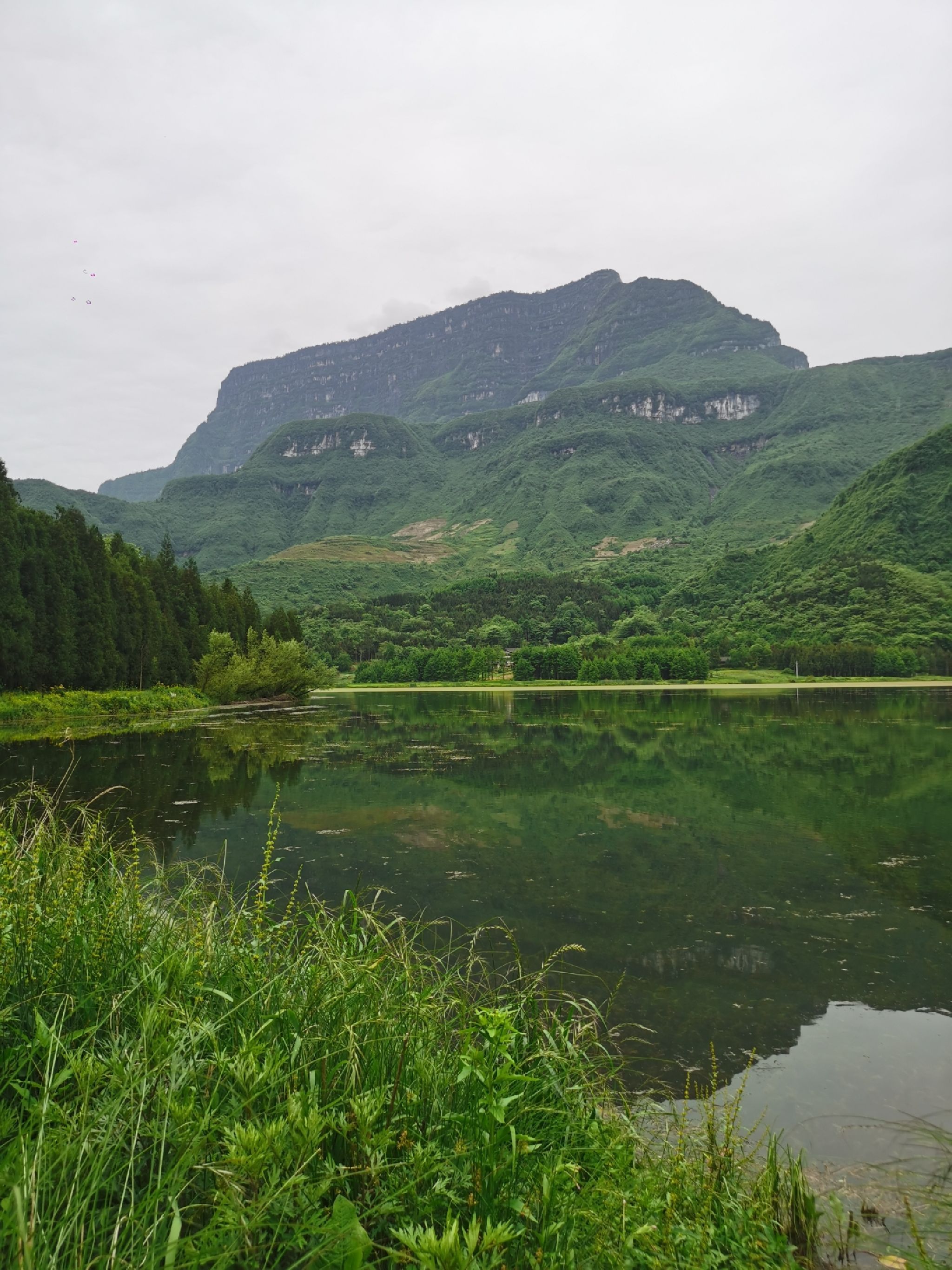 大瓦山国家湿地公园旅行图片