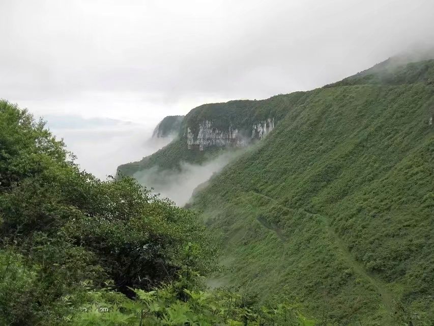 大瓦山国家湿地公园旅行图片 3