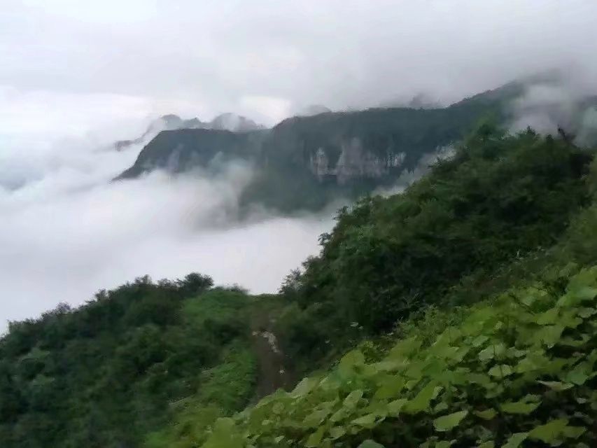 大瓦山国家湿地公园旅行图片 1