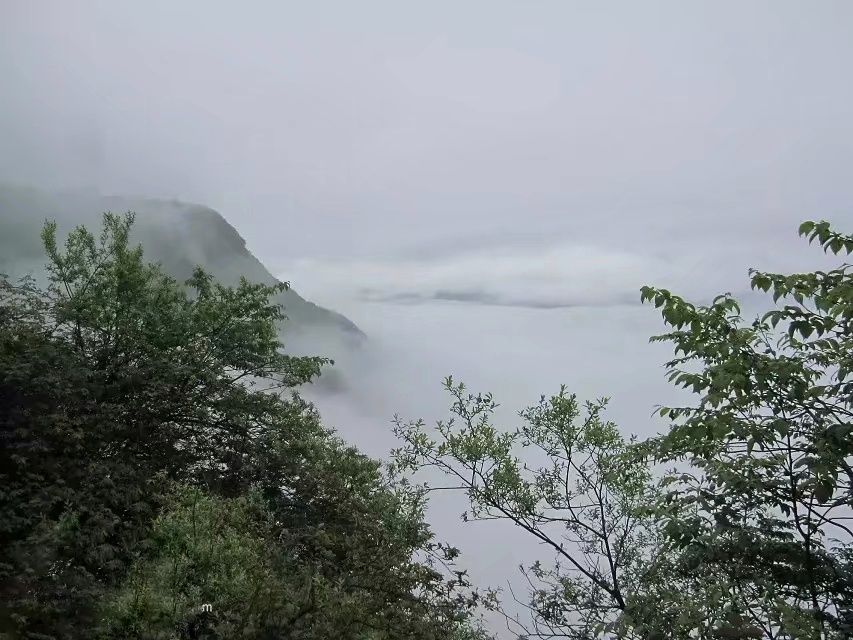 大瓦山国家湿地公园旅行图片 2