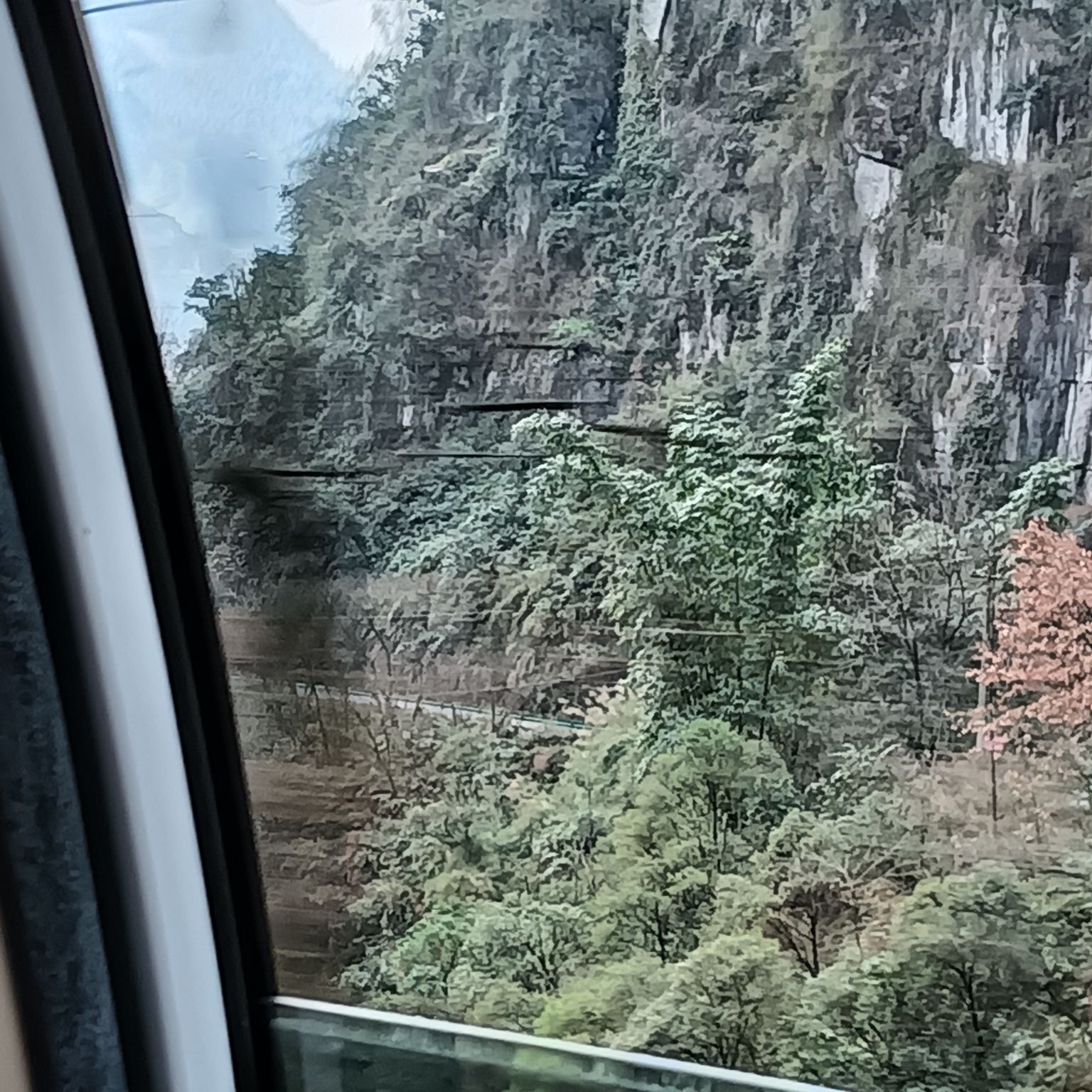 大瓦山国家湿地公园旅行图片 3