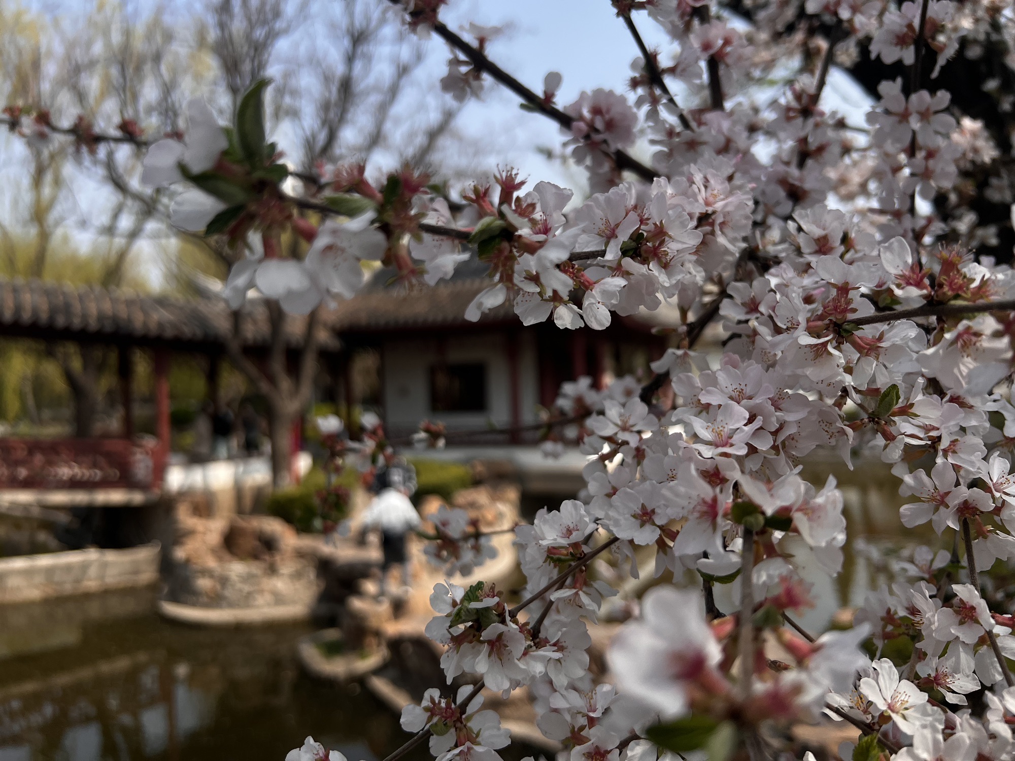 河滨公园-塘沽公园旅行图片 1