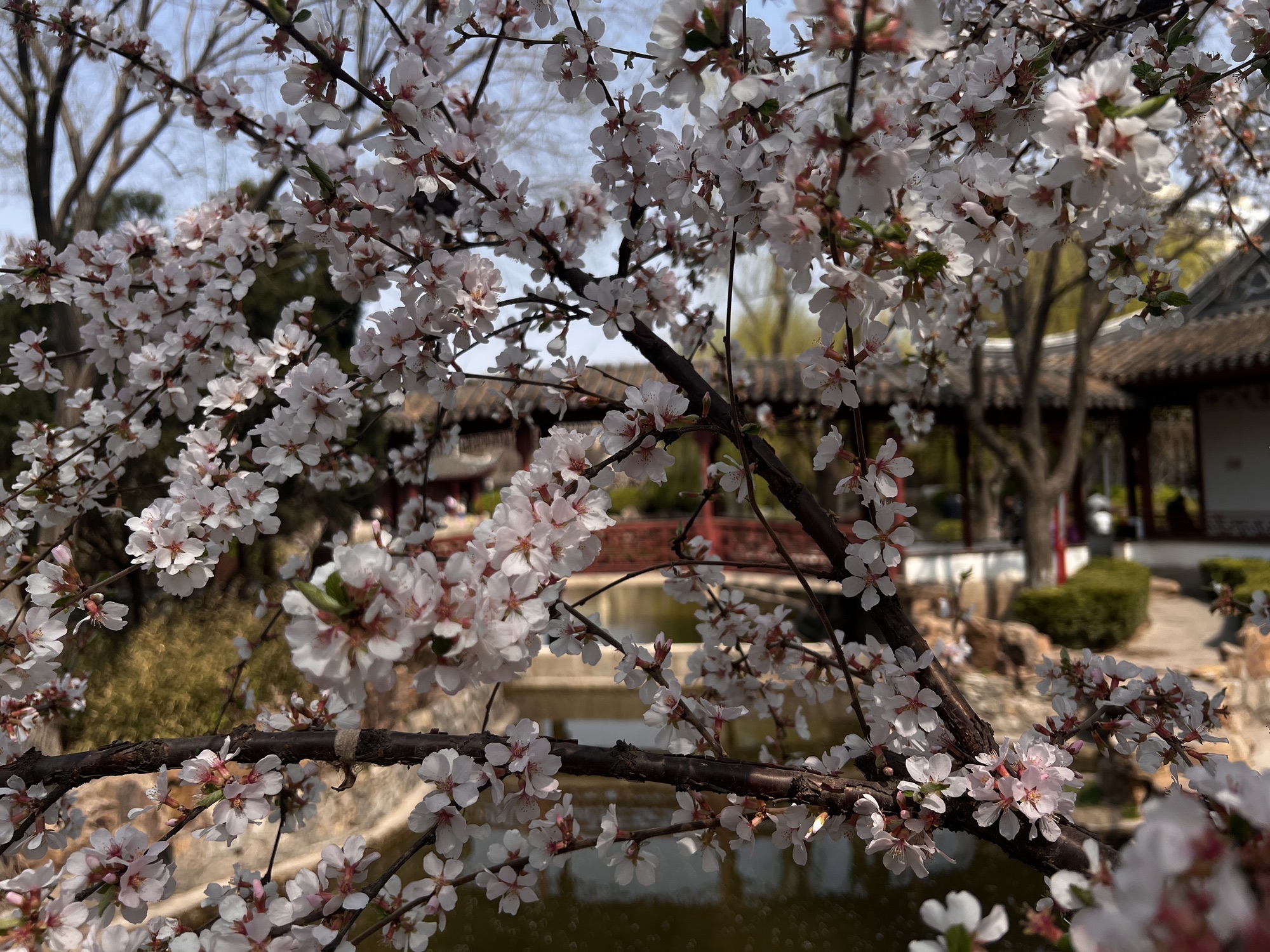 河滨公园-塘沽公园旅行图片 2