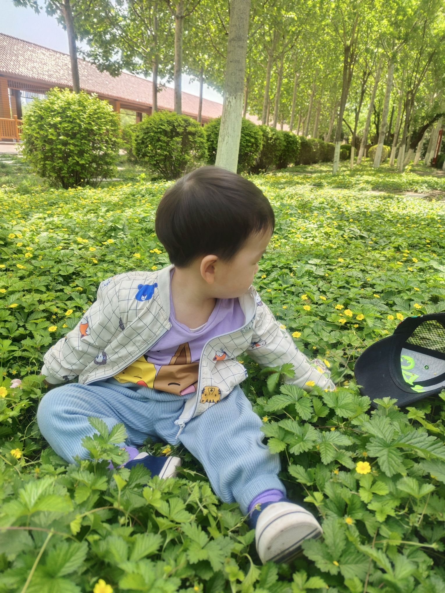 河滨公园-塘沽公园旅行图片 2