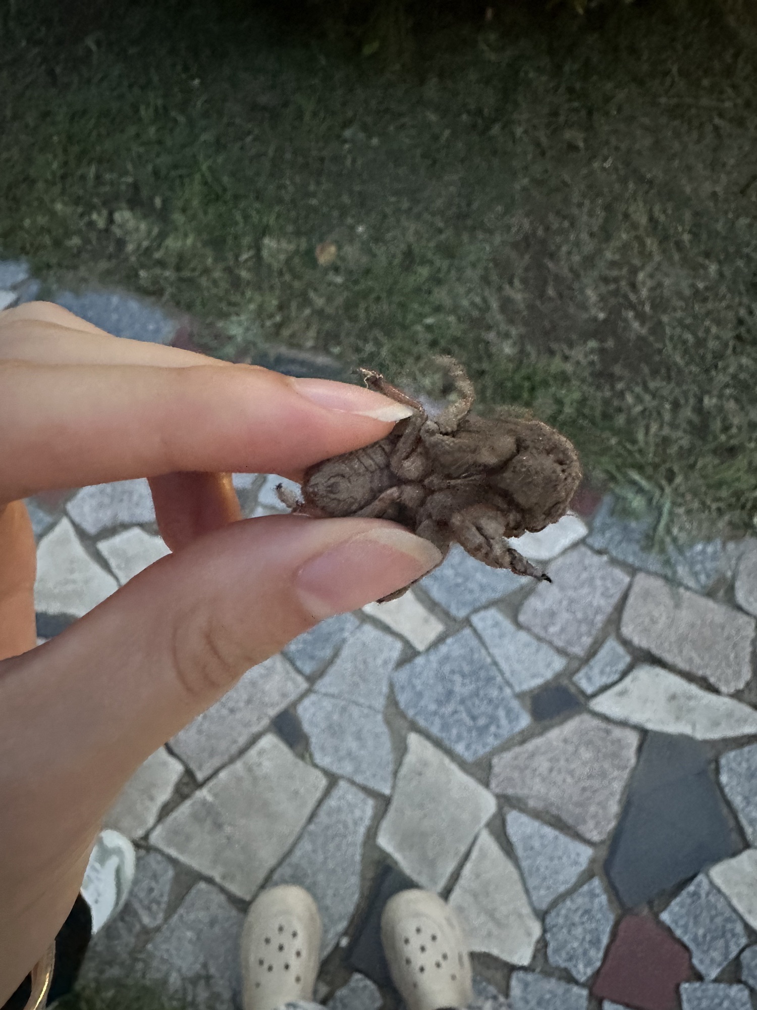 李哥庄人民广场旅行图片