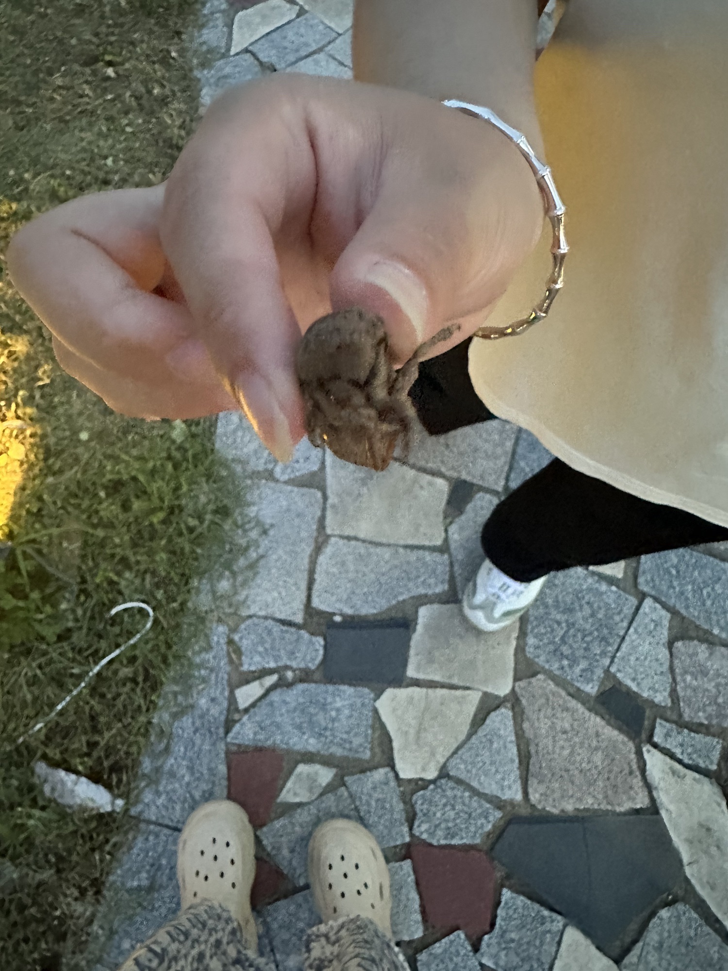 李哥庄人民广场旅行图片 2