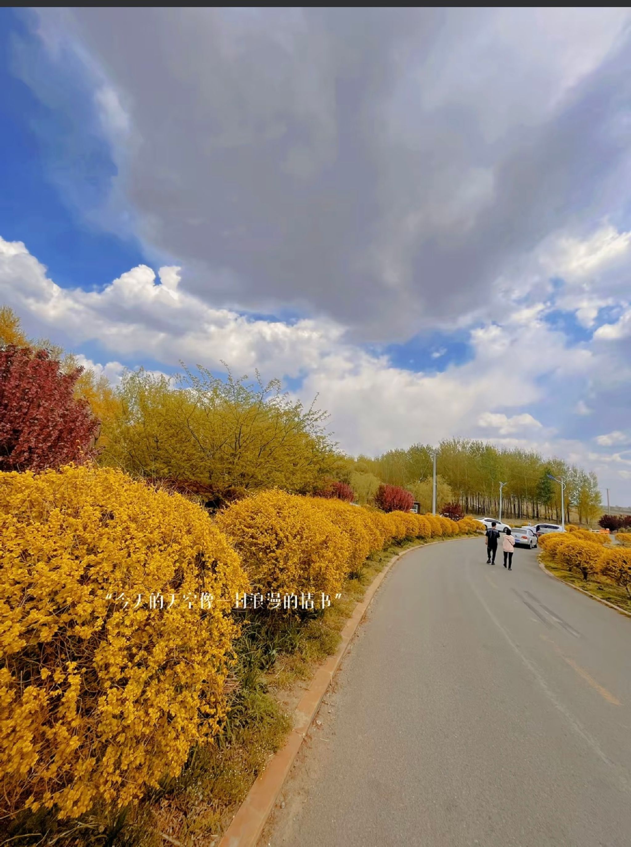 张荒古渡旅行图片 1