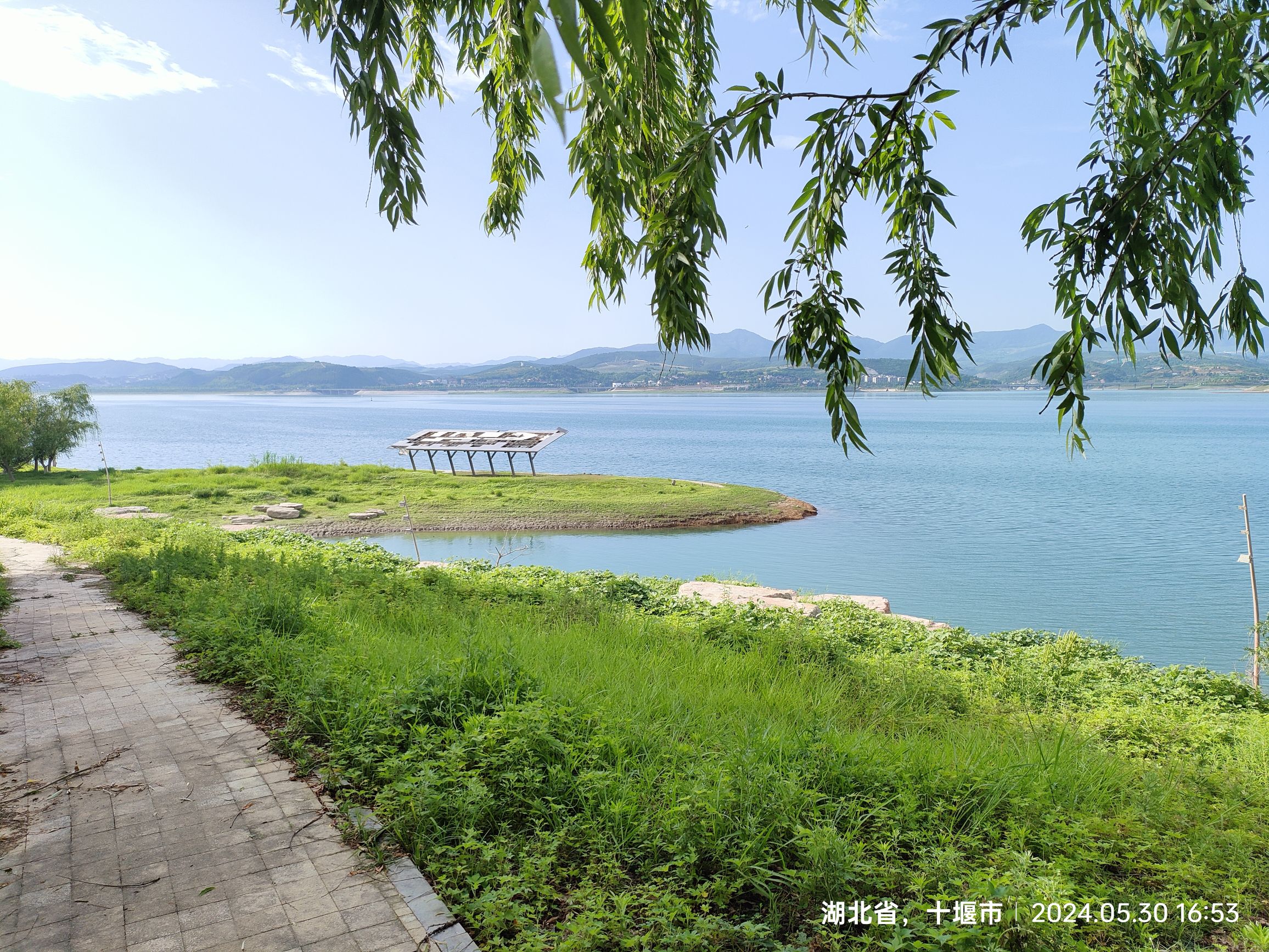 湿地公园旅行图片