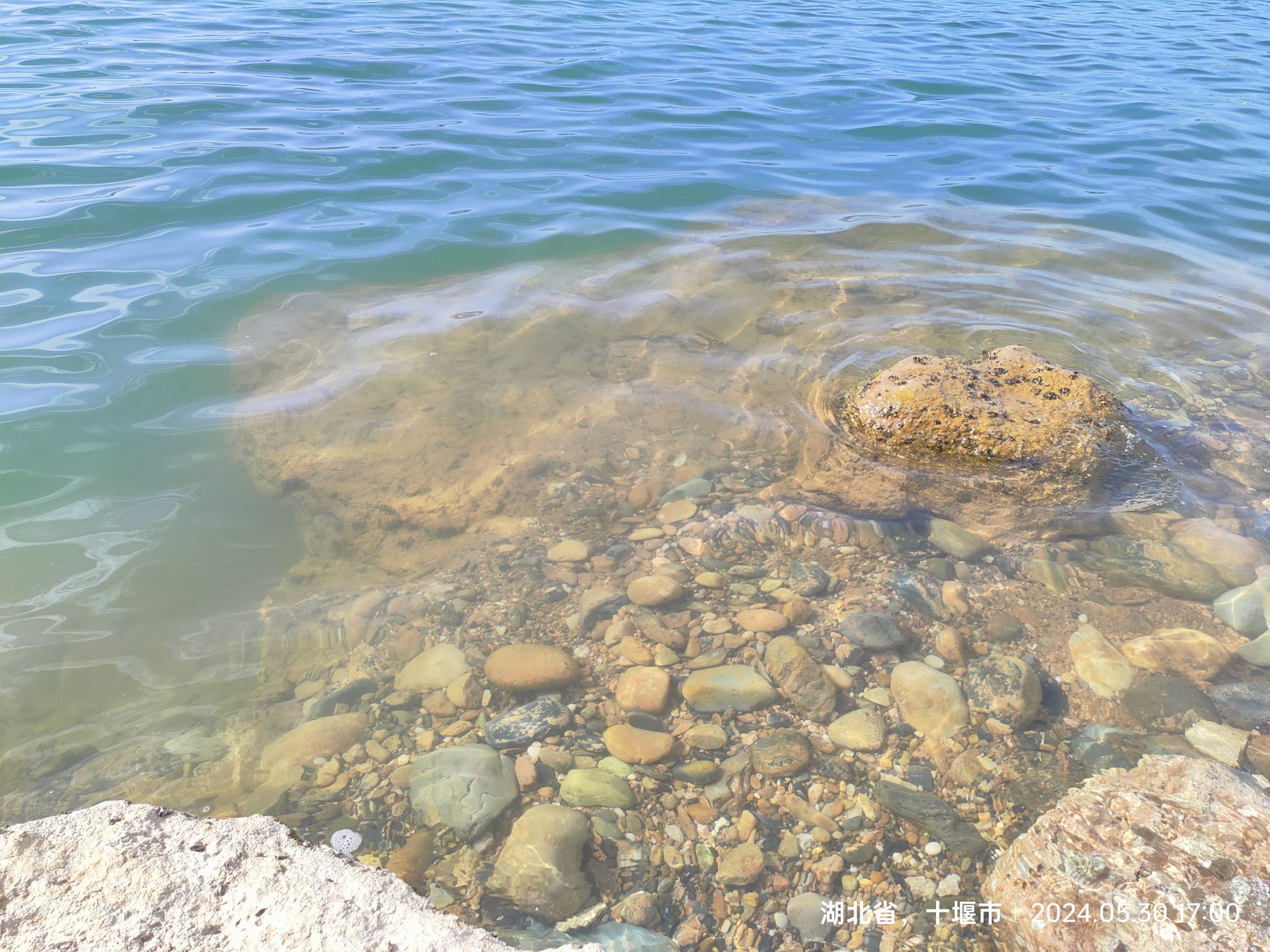 湿地公园旅行图片 2