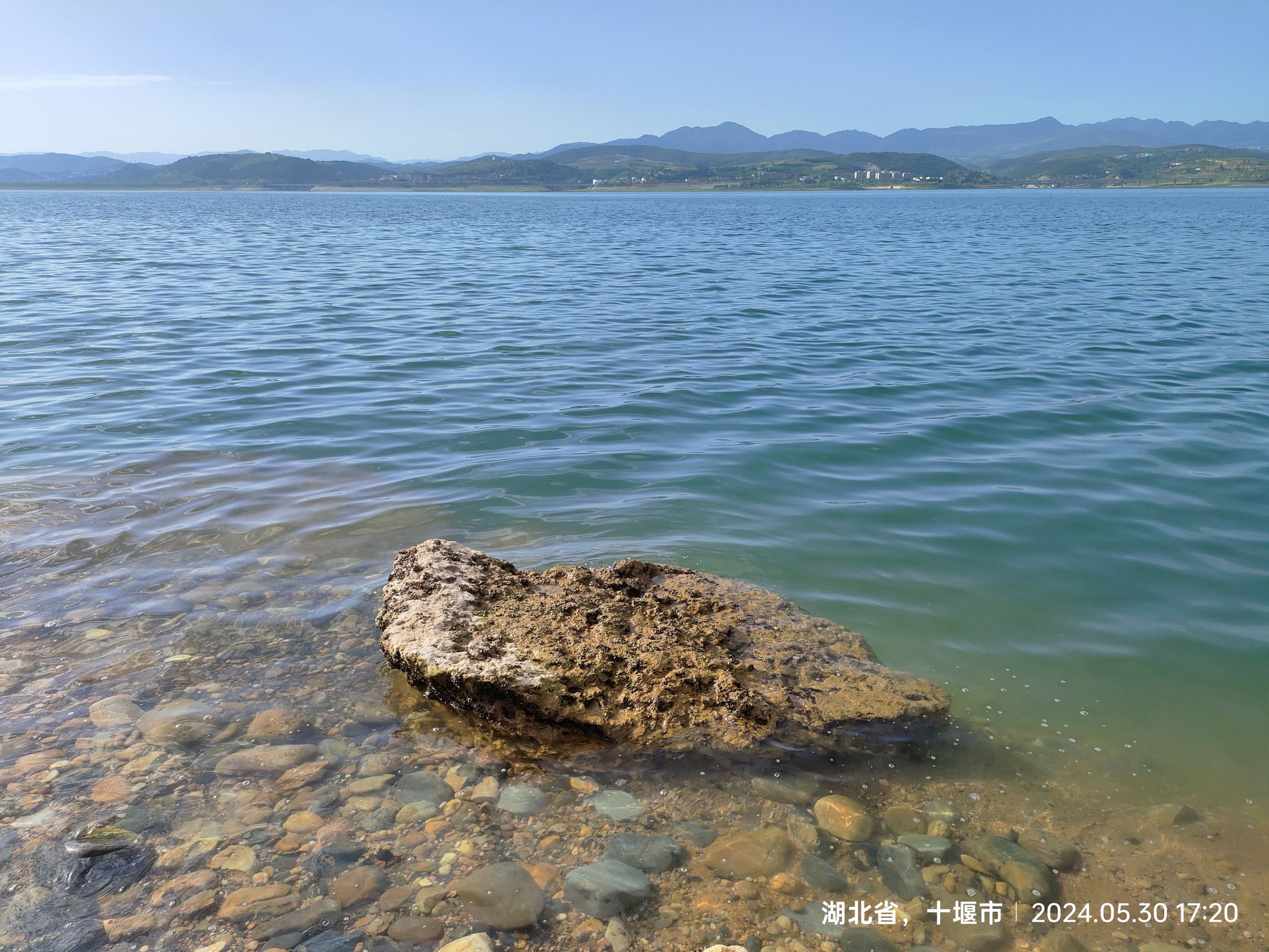 湿地公园旅行图片 3