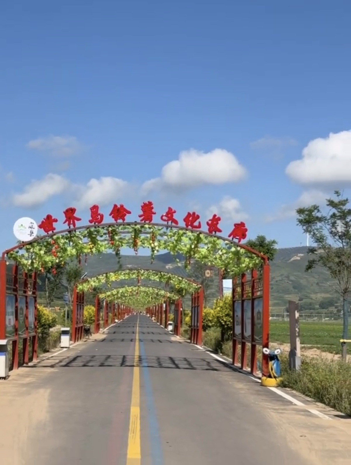 岚县土豆花风景区